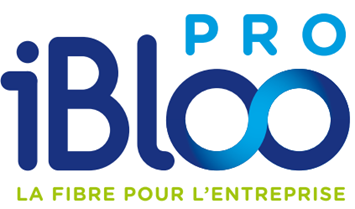 logo de Ibloo Pro